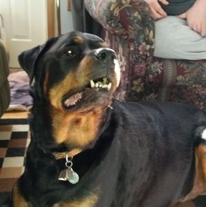 Meet your Posher, Tammy